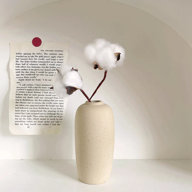 Minimalist Ceramic Decorative Vase