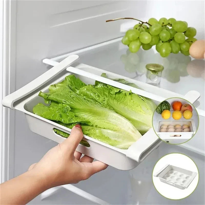Refrigerator Egg Storage Organizer Collection