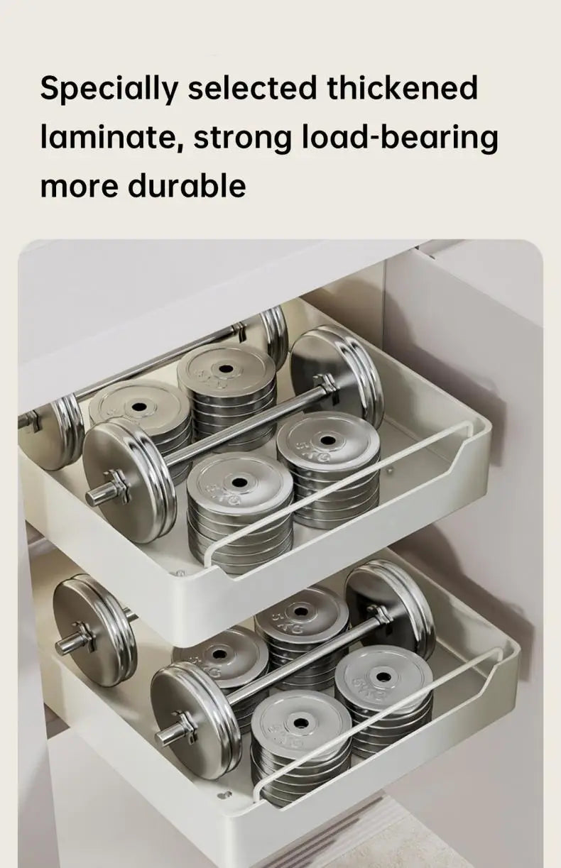 Pull-Out Cabinet Organizer with Sliding Rails