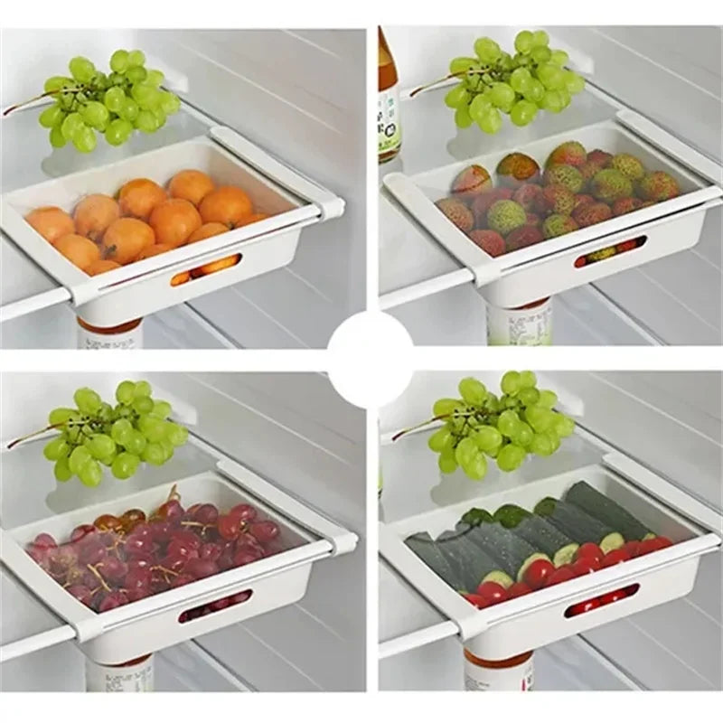 Refrigerator Egg Storage Organizer Collection