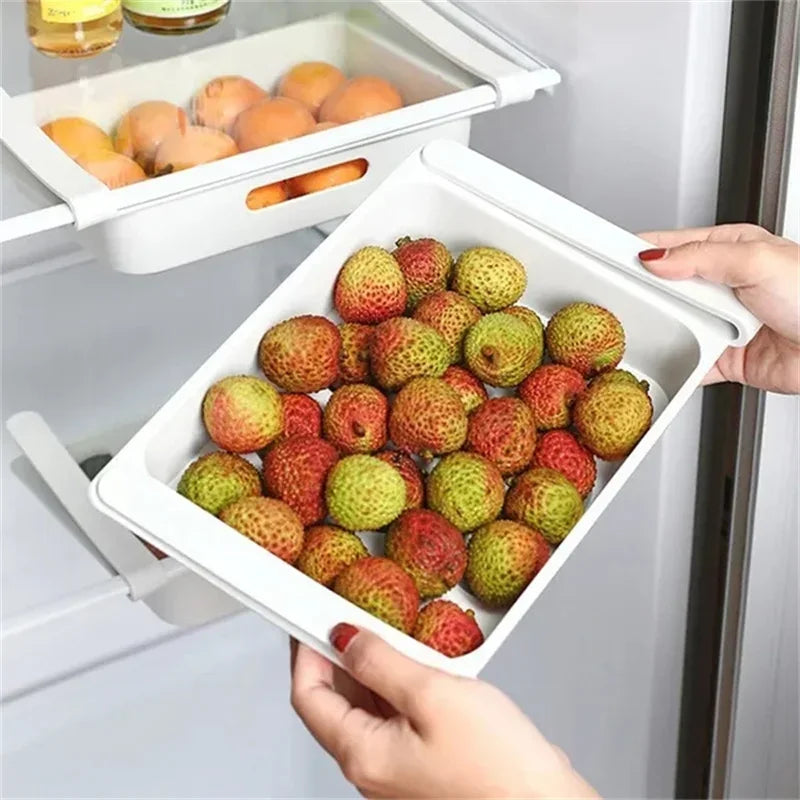 Refrigerator Egg Storage Organizer Collection