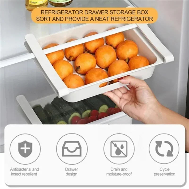 Refrigerator Egg Storage Organizer Collection