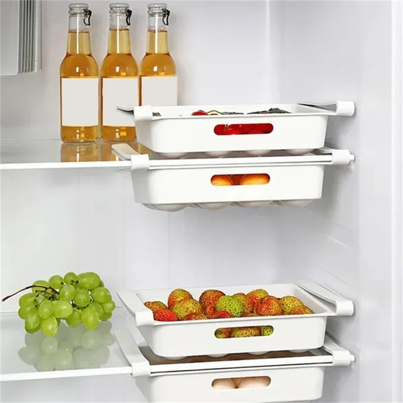 Refrigerator Egg Storage Organizer Collection