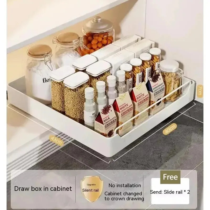 Pull-Out Cabinet Organizer with Sliding Rails